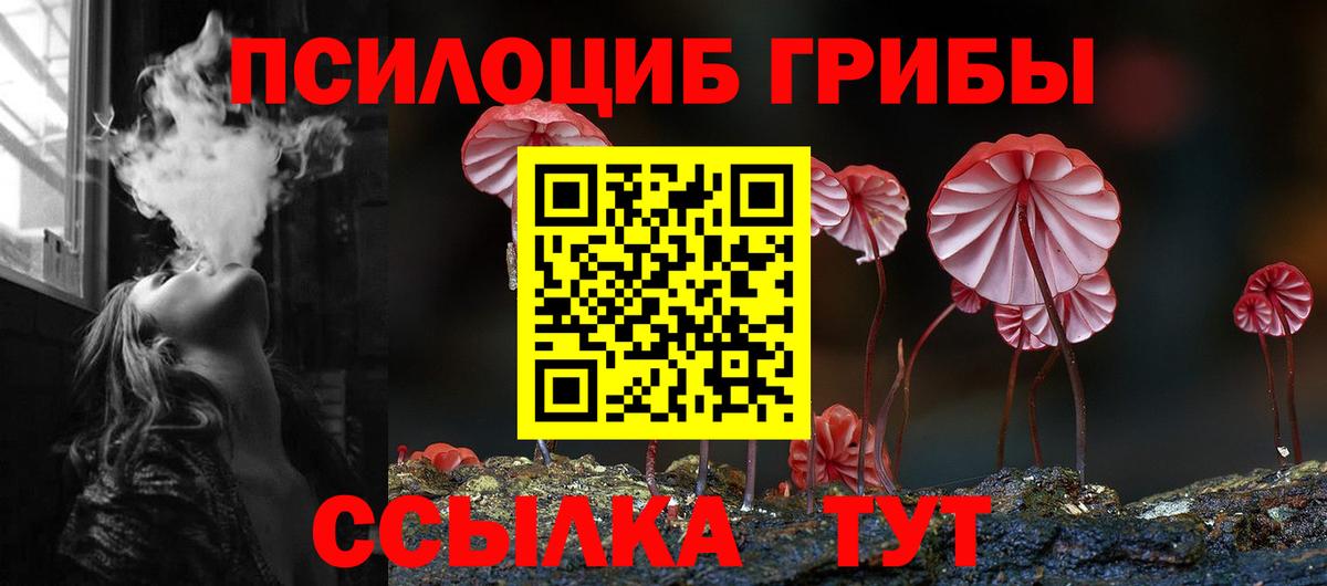 Псилоцибиновые грибы мицелий  Псилоцибиновые грибы Psilocybe  Михайловка  Вход с VPN 
